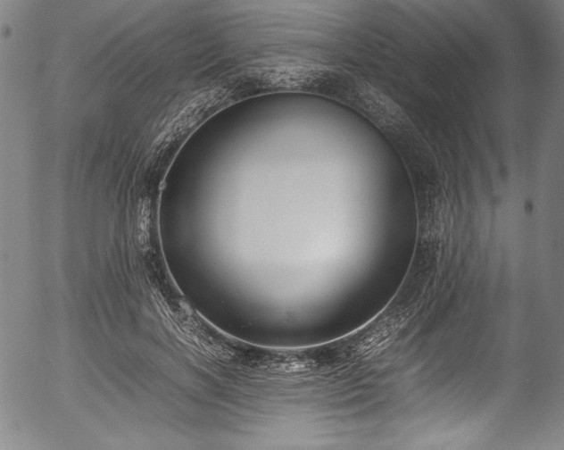 X0000054390646200508011254