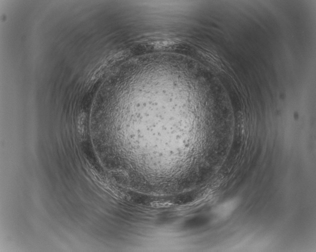 X0000054390650200508011254