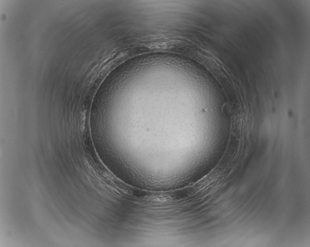 X0000054390652200508011254