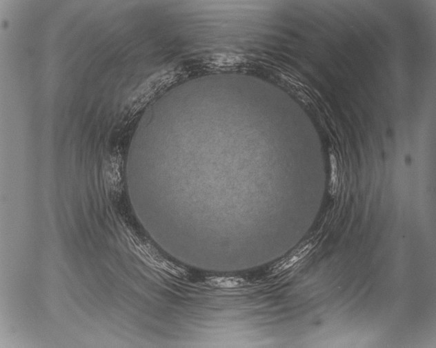 X0000054390654200508011254