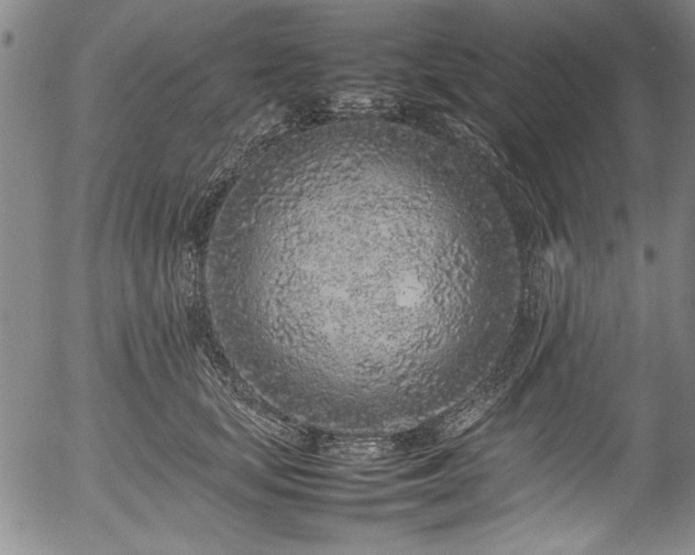 X0000054390659200508011254