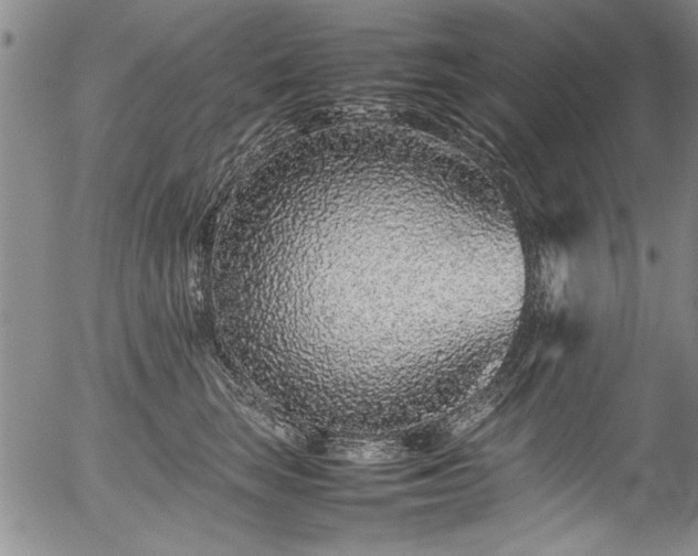 X0000054390663200508011254