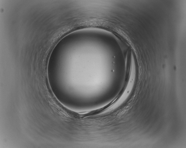 X0000054390673200508011254