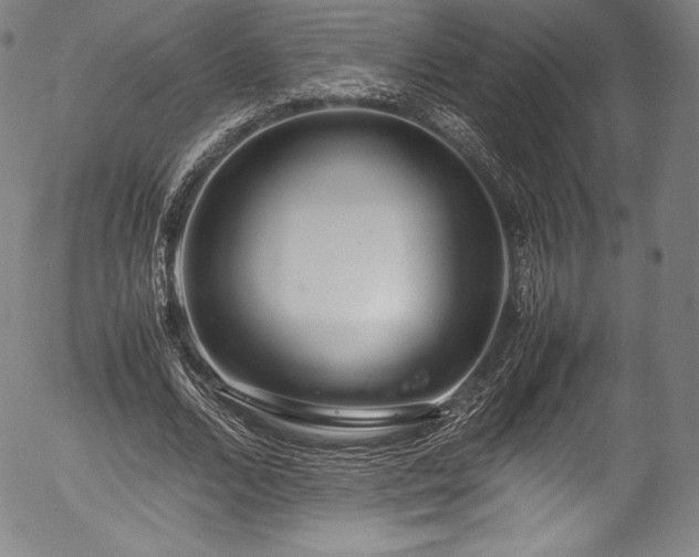 X0000054390680200508011253