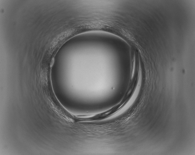 X0000054390681200508011253