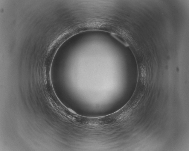 X0000054390684200508011253