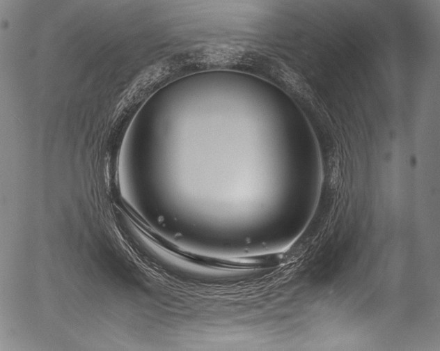 X0000054390685200508011253