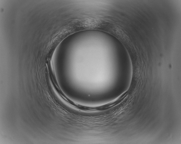 X0000054390689200508011253