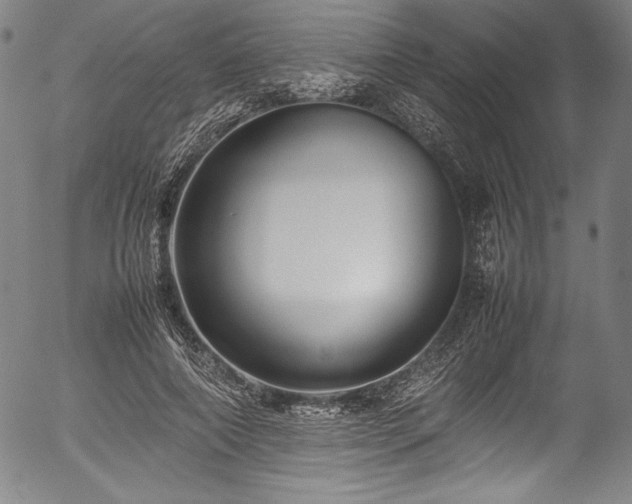 X0000054390690200508011253
