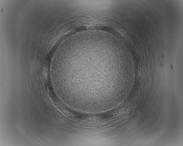 X0000054390691200508011253