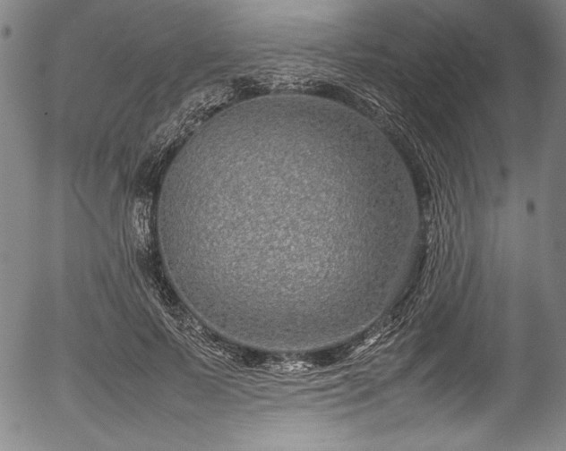 X0000054390695200508011253