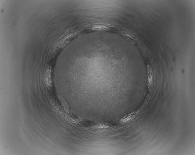 X0000054390696200508011253