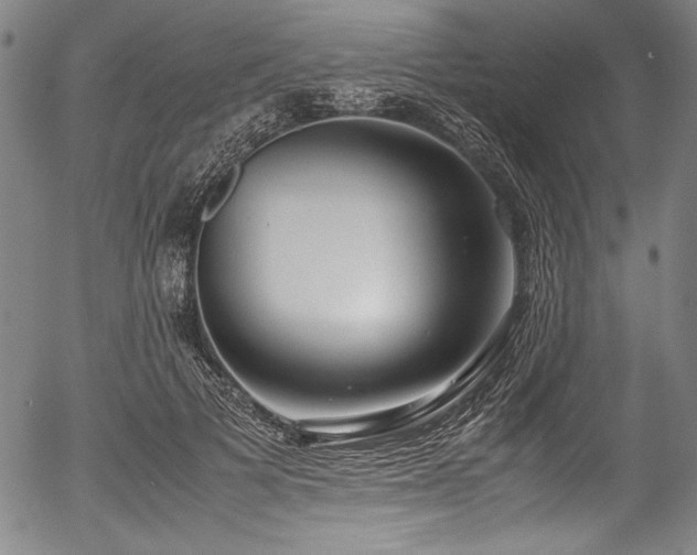 X0000054390697200508011253