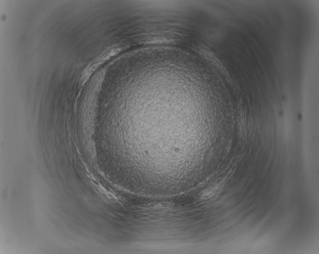 X0000054390721200508011252