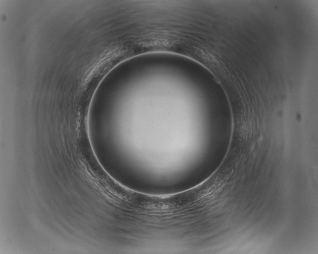X0000054390735200508011252