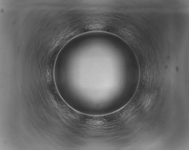 X0000054390743200508011252