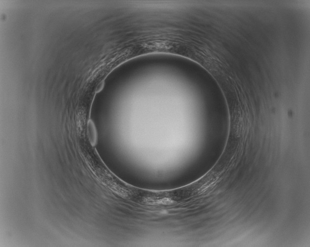 X0000054390747200508011252