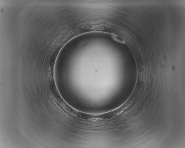 X0000054390748200508011252