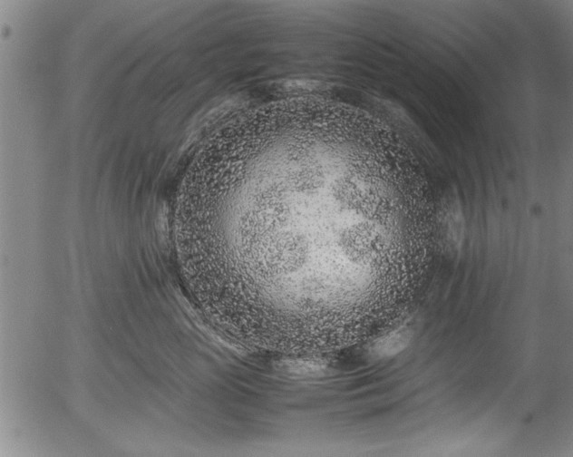 X0000054390765200508011253