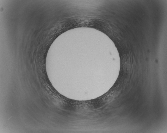X0000054390769200508011252