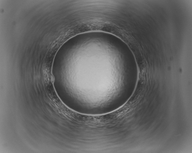 X0000054390772200508011252