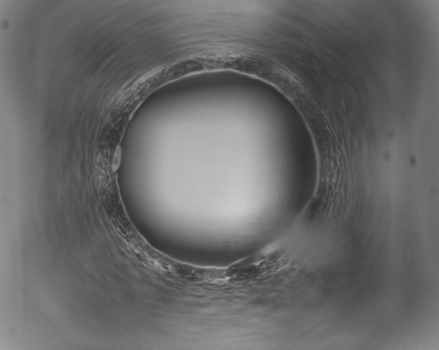 X0000054390773200508011252