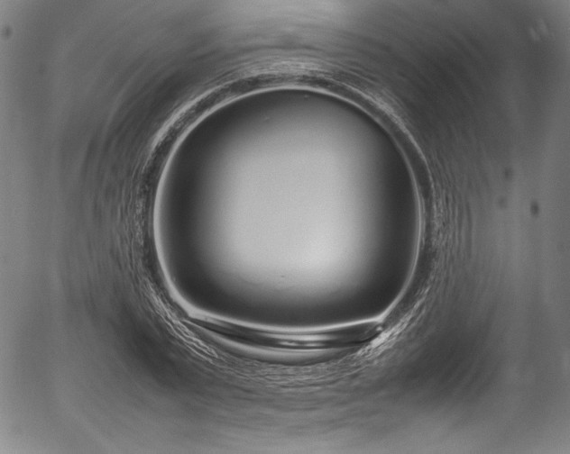 X0000054390783200508011252