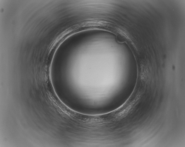 X0000054390786200508011252