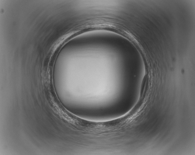X0000054390787200508011252