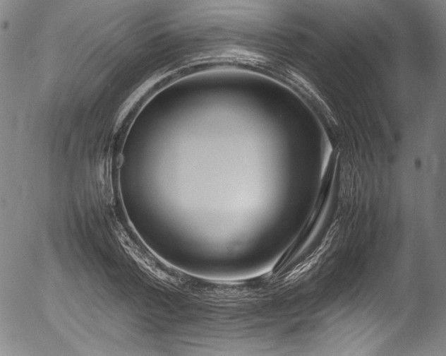 X0000054390788200508011252