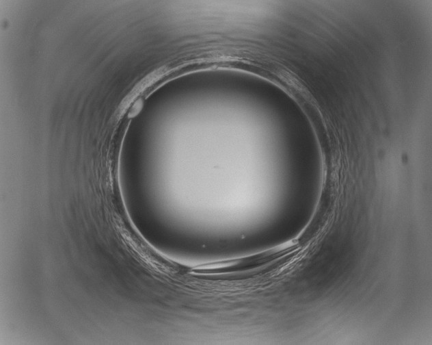 X0000054390789200508011252