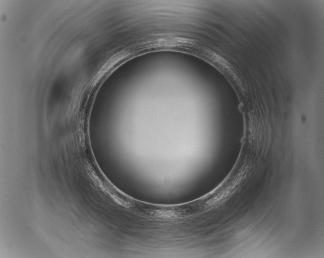 X0000054390794200508011252