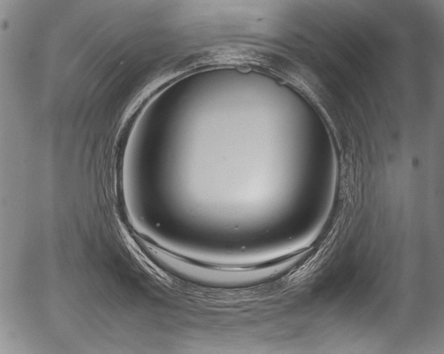 X0000054390795200508011251