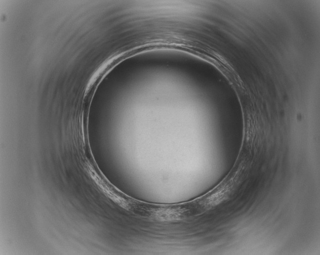 X0000054390796200508011251