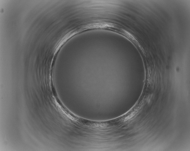 X0000054390802200508011251