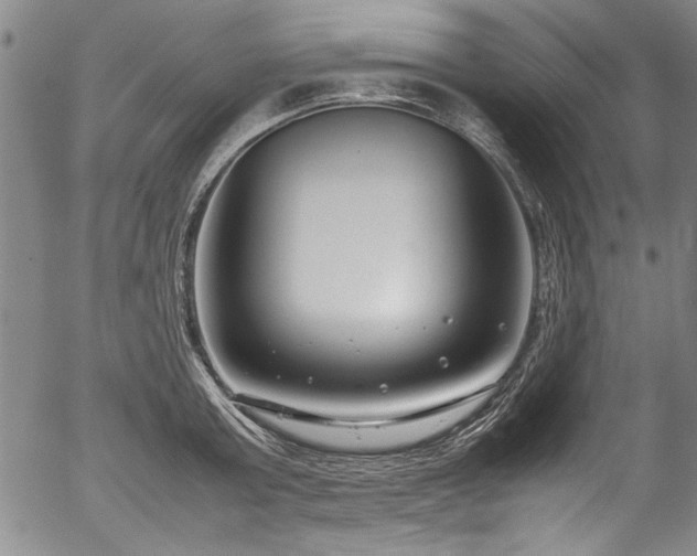 X0000054390803200508011251