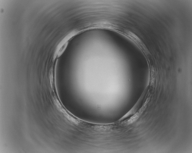 X0000054390812200508011251