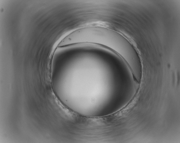 X0000054390816200508011251