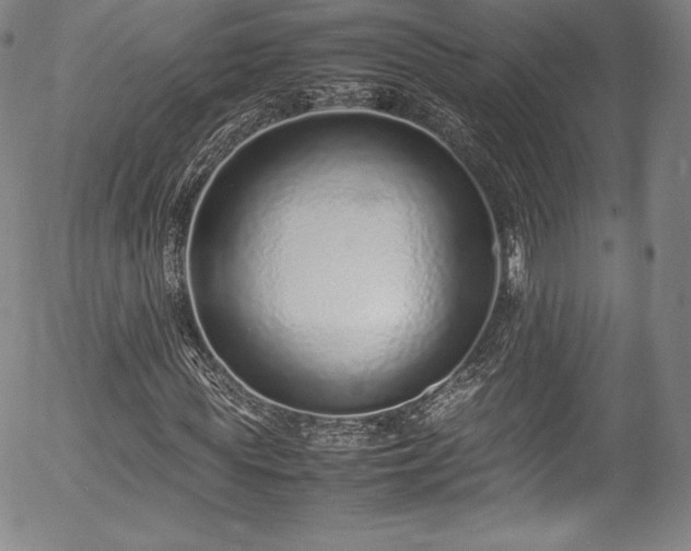 X0000054390819200508011250