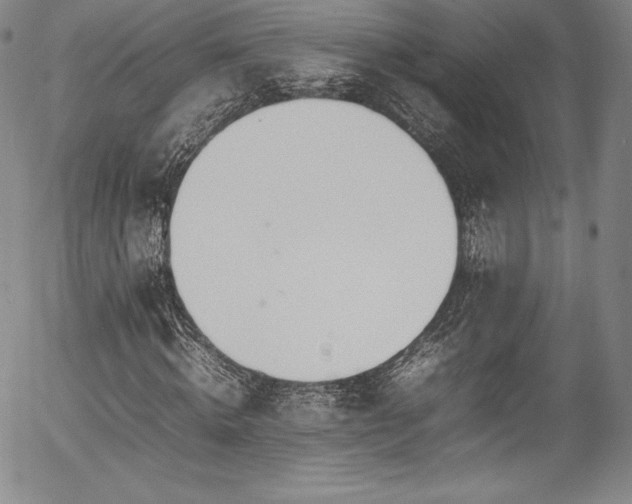 X0000054390820200508011250