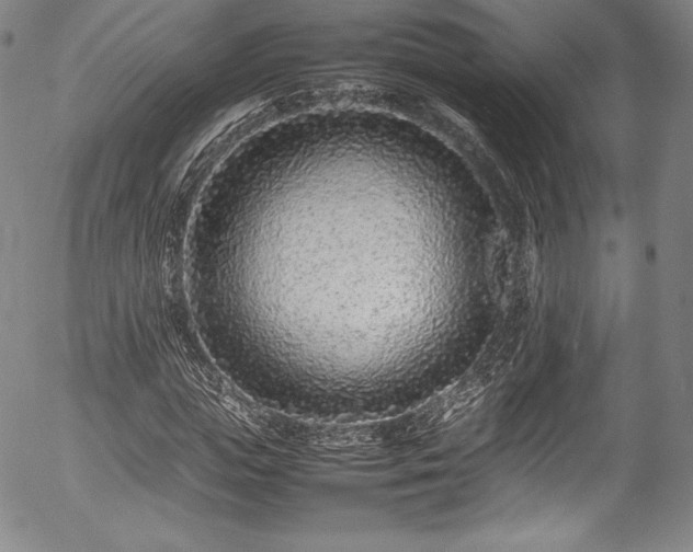 X0000054390823200508011250