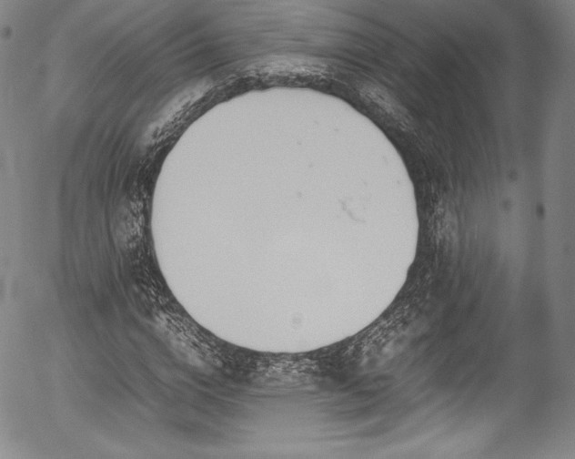 X0000054390824200508011250