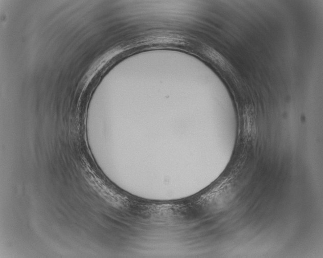 X0000054390828200508011251