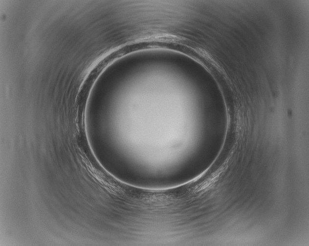 X0000054390830200508011251