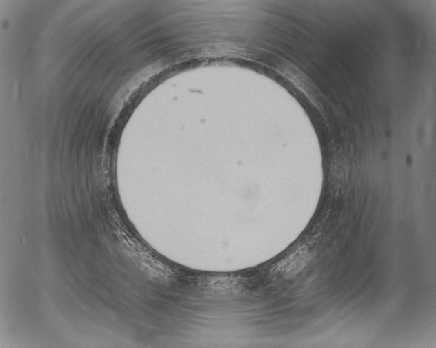 X0000054390832200508011251