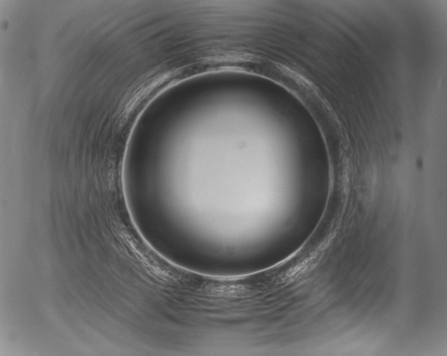 X0000054390833200508011251