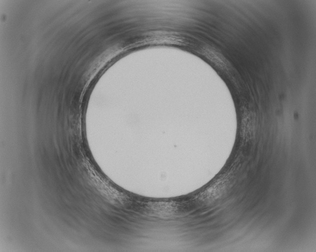 X0000054390836200508011251