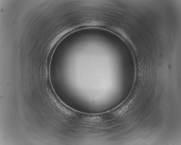 X0000054390837200508011251