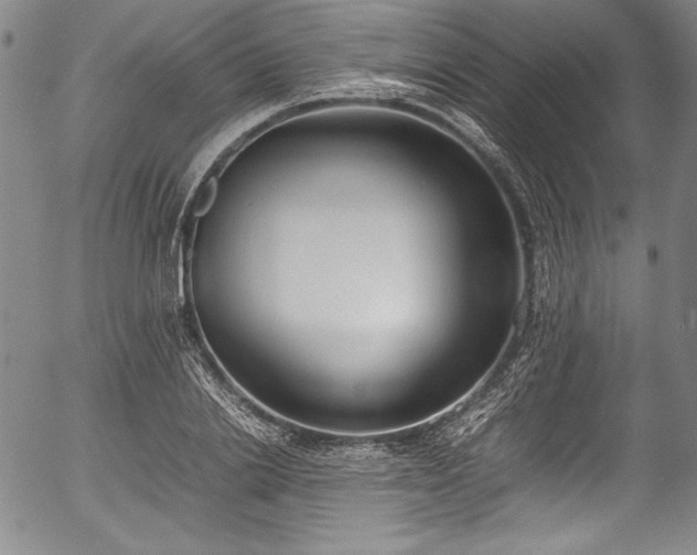 X0000054390838200508011251
