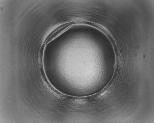 X0000054390839200508011251